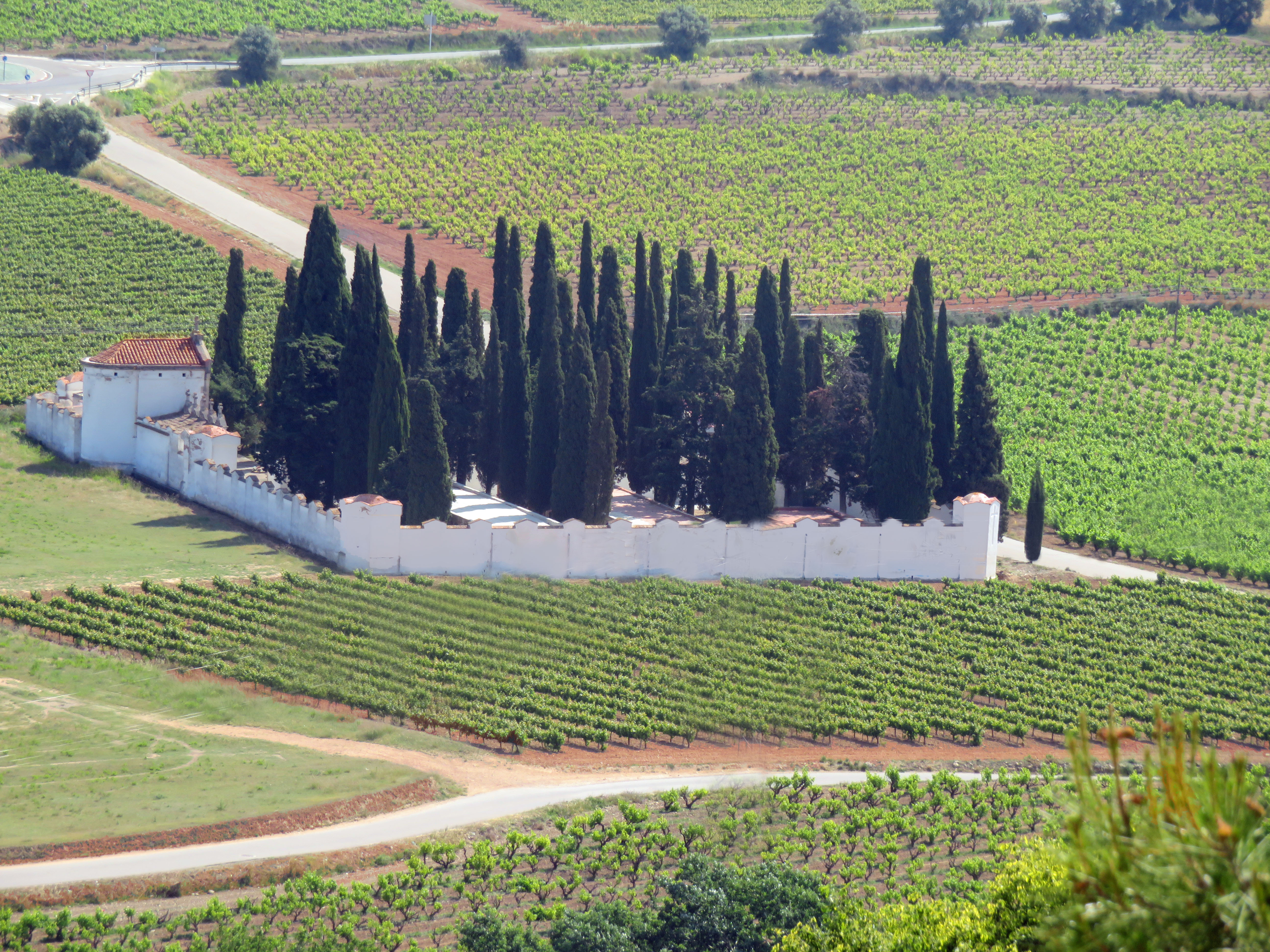 Wijngaarden en begraafplaats in de Penedes